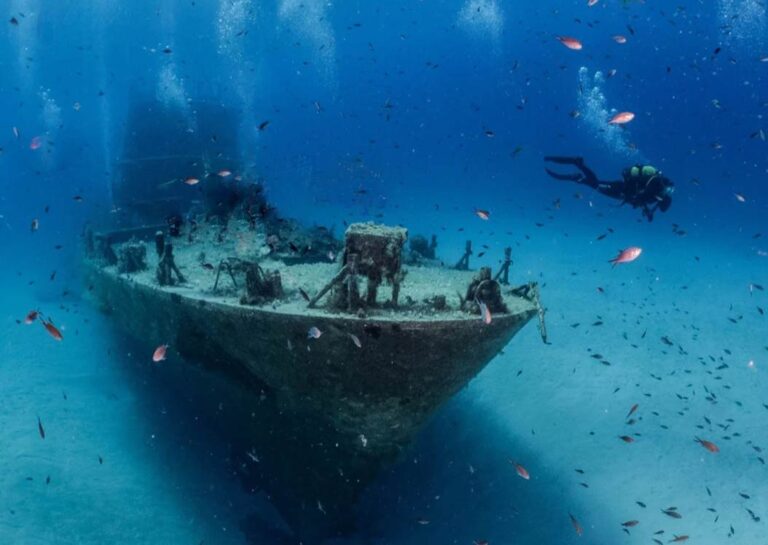 Best Dive Sites in Gozo Malta
