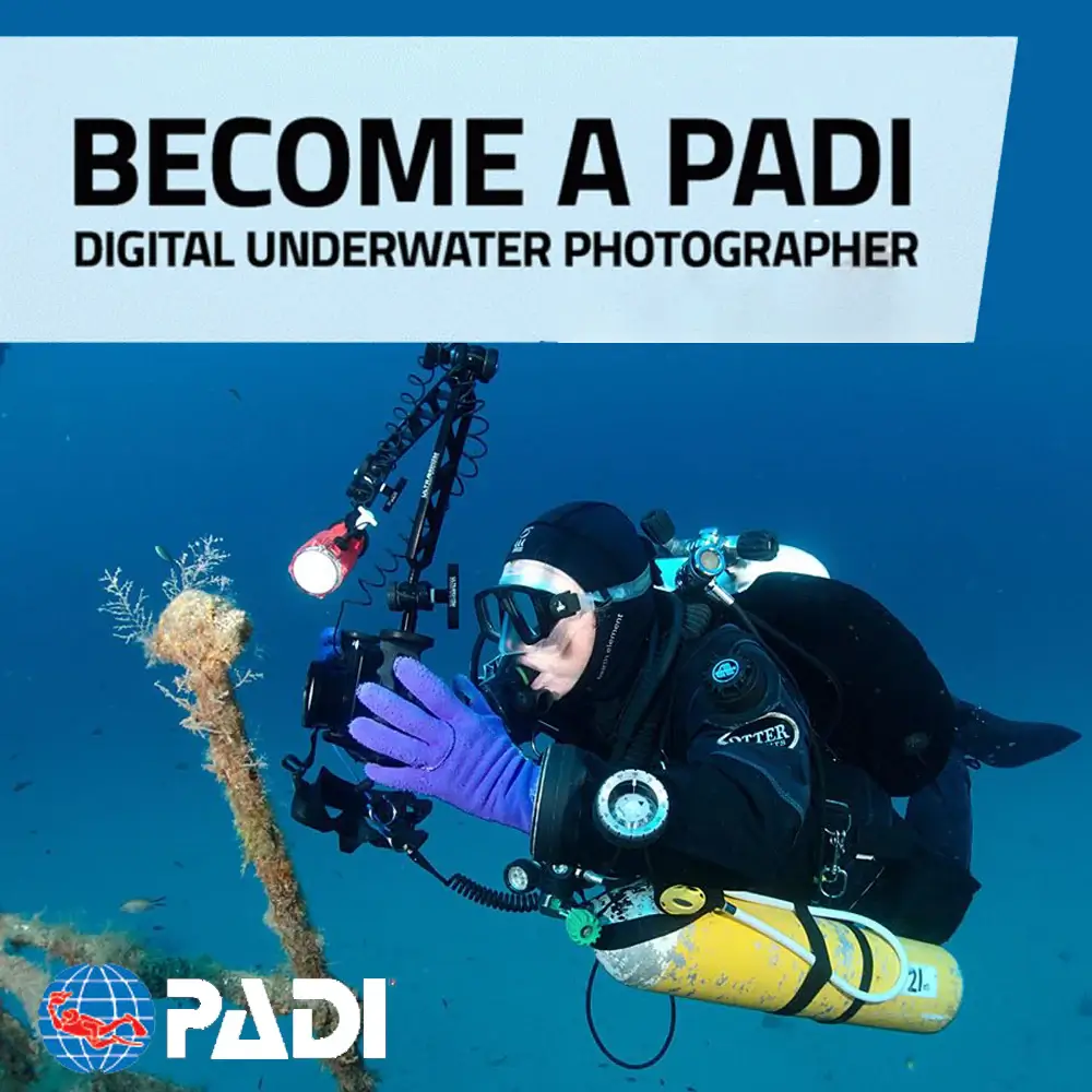 PADI Underwater Photographer Training in Gozo