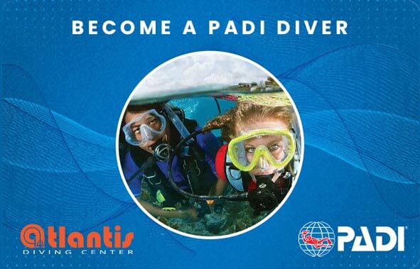 Learn to dive in Malta 2024